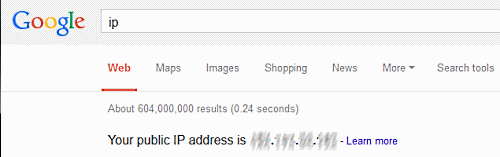 google-search-ip-address